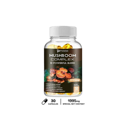 Multi-Mushroom Physical & Cognitive Enhancer