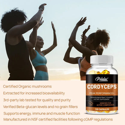 Cordyceps Mushrooms | Stamina and Immune Support