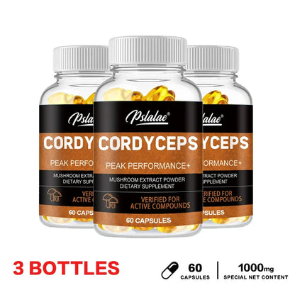 Cordyceps Mushrooms | Stamina and Immune Support