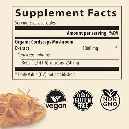 Cordyceps Mushrooms | Stamina and Immune Support