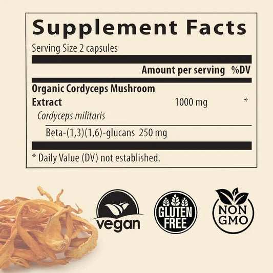 Cordyceps Mushrooms | Stamina and Immune Support