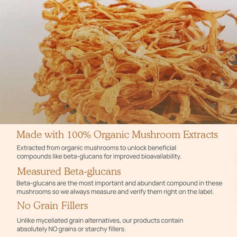 Cordyceps Mushrooms | Stamina and Immune Support