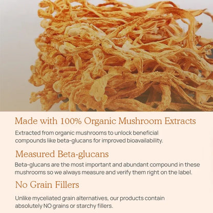 Cordyceps Mushrooms | Stamina and Immune Support