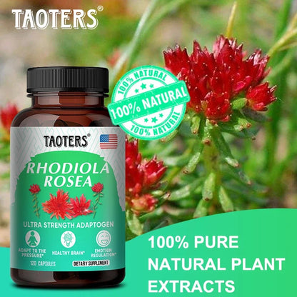 Rhodiola Rosea with Ginko