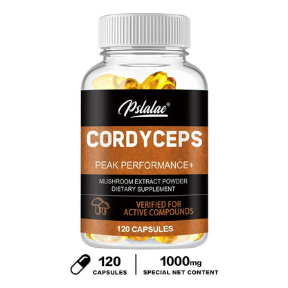 Cordyceps Mushrooms | Stamina and Immune Support