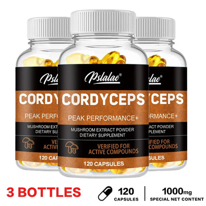 Cordyceps Mushrooms | Stamina and Immune Support