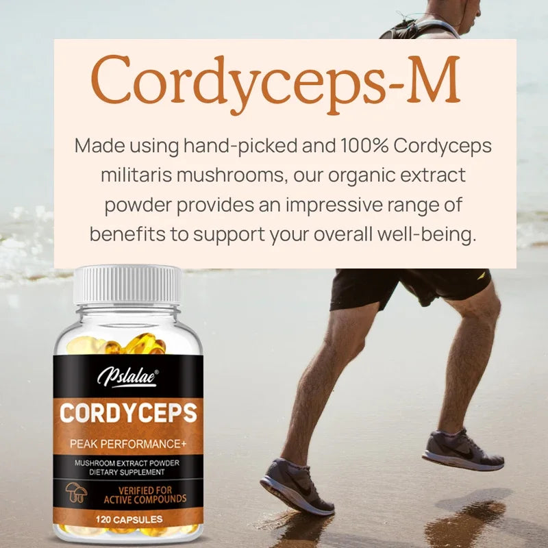 Cordyceps Mushrooms | Stamina and Immune Support