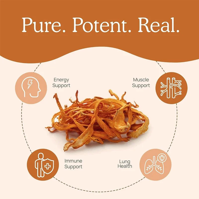 Cordyceps Mushrooms | Stamina and Immune Support